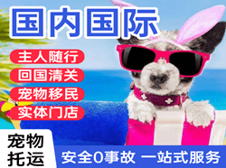 永兴机场邮寄国际宠物托运 【国